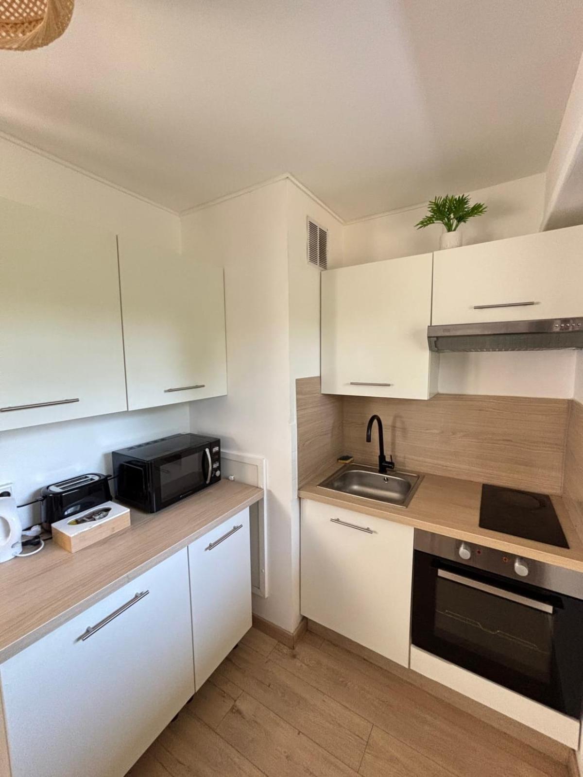 Soh Rent Wifi Terrasse Apartment Straßburg